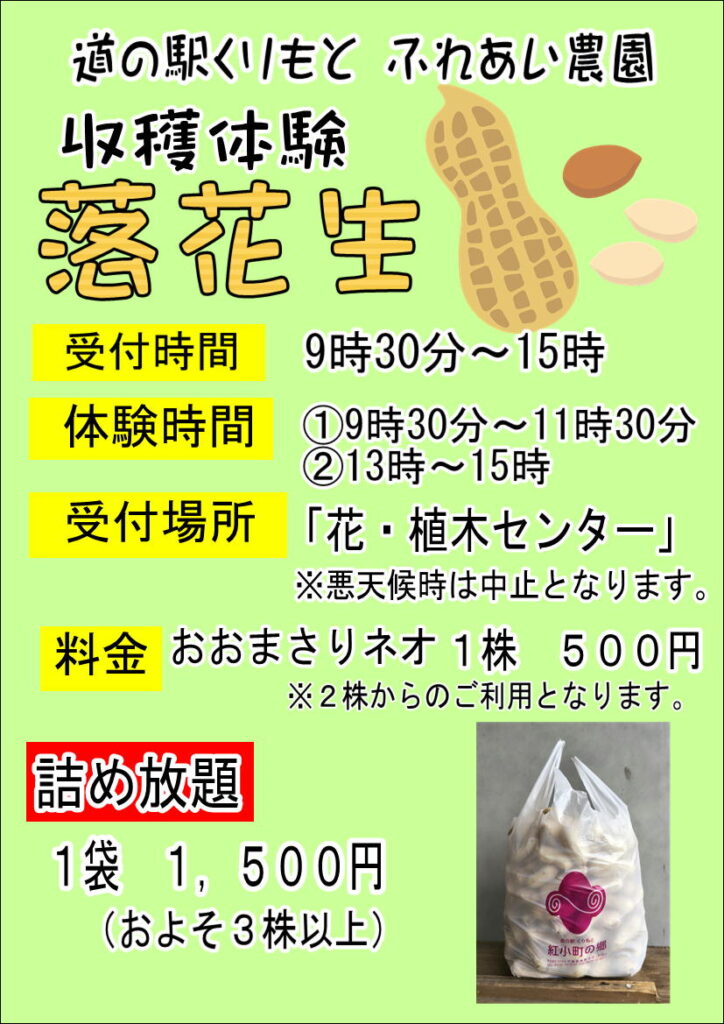 落花生の収穫体験に”詰め放題”追加！